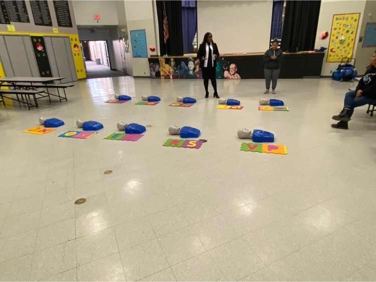 CPR bodies for practice